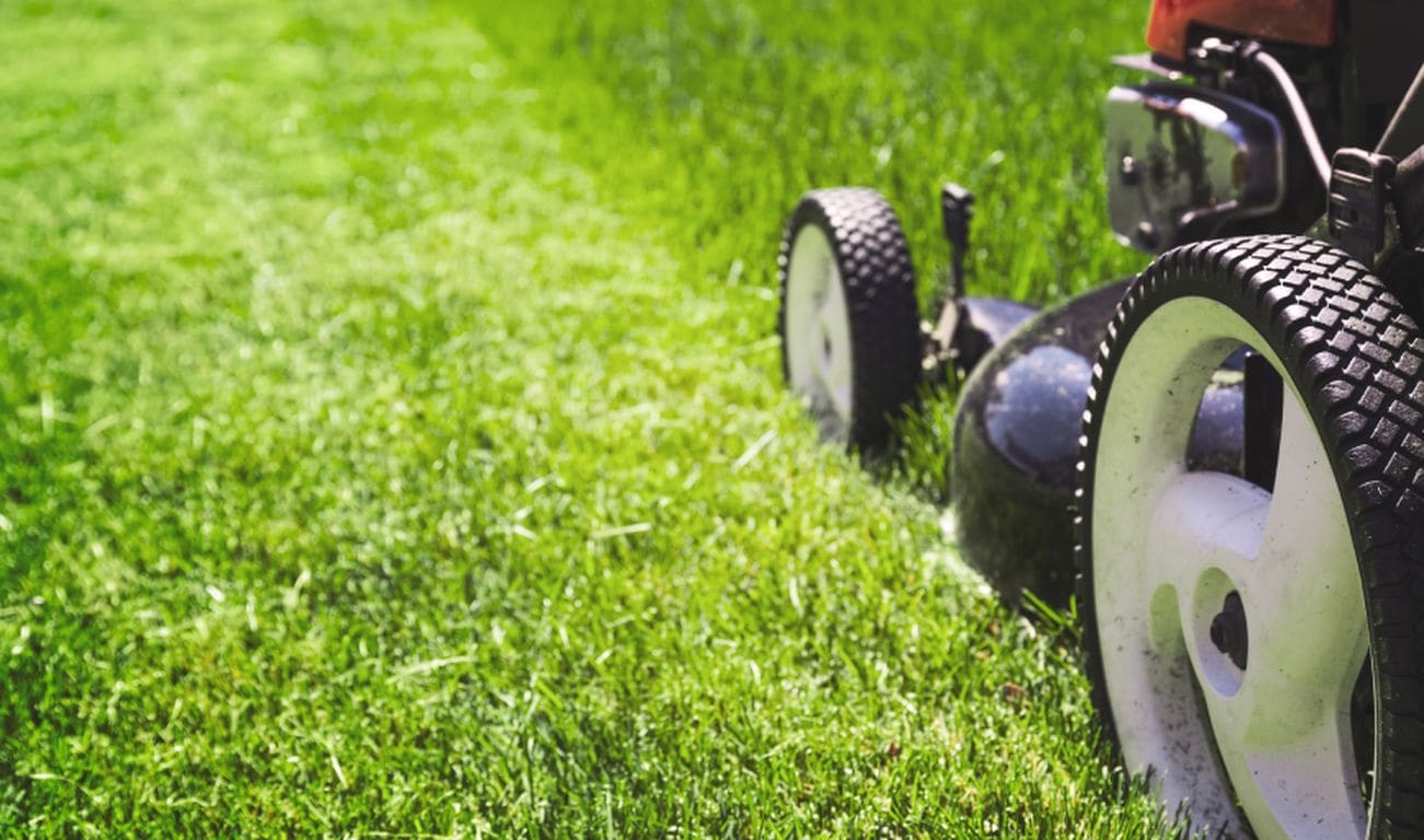 Starview Lawn Care